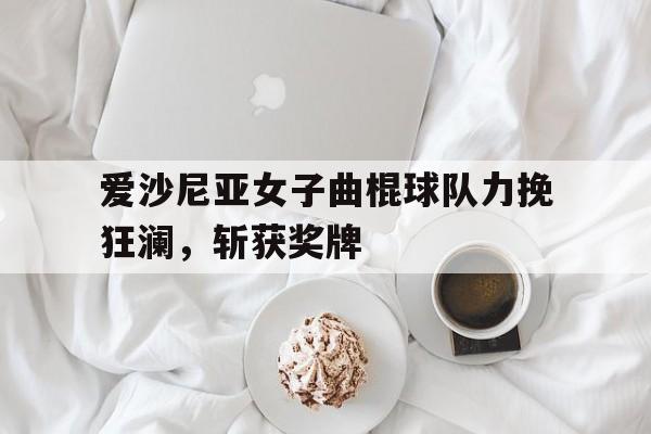 爱沙尼亚女子曲棍球队力挽狂澜，斩获奖牌的简单介绍