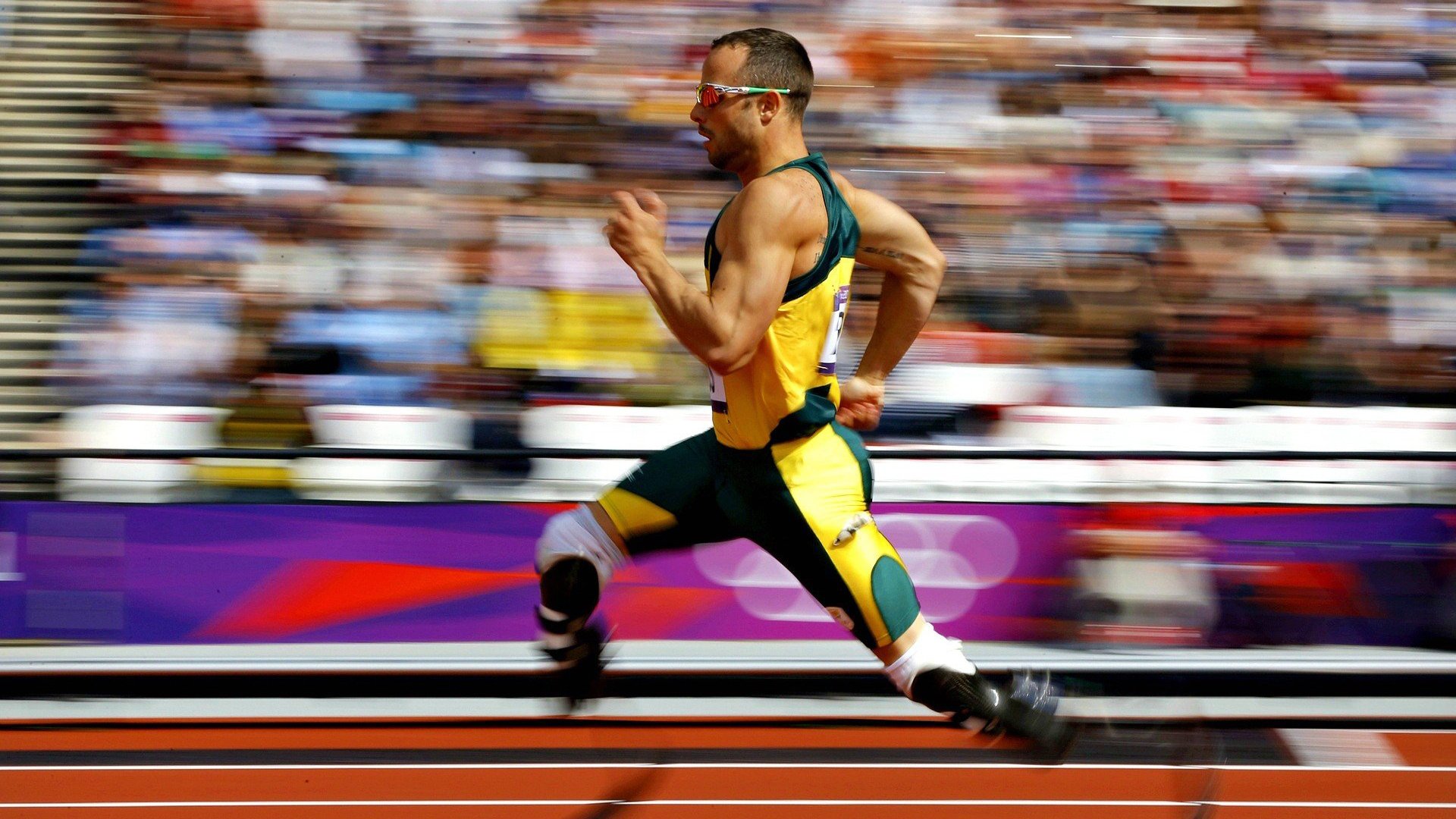 塔图姆新星高光表现表现惊艳,MAD未来可期!